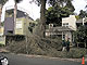 Climber limbs the tree on the way up while the crew works along with the cleanup.  A usual method of tree removal in tight areas to prevent any damage to nearby property or dwellings