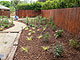 Complete yard demo, salt and wind tolerant plantings, prepping and installing decomposed granite pathways