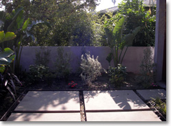 concrete pads with plantings