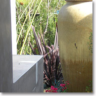 container plantings and water feature with block wall and stucco