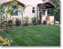 Mediterranean garden with lights, irrigation and tile walk. Low water plantings