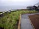 Decoposed granite path in progress with ornamental grass border.